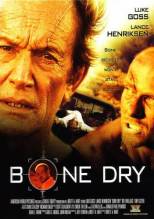 Смотреть онлайн фильм Сухая кость / Bone Dry (2007)-Добавлено DVDRip качество  Бесплатно в хорошем качестве