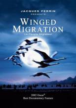 Смотреть онлайн фильм Птицы / Winged Migration / Le peuple migrateur (2001)-Добавлено DVDRip качество  Бесплатно в хорошем качестве