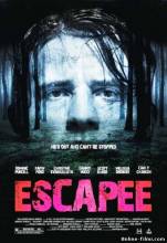 Смотреть онлайн фильм Беглец / Escapee (2011)-Добавлено DVDRip качество  Бесплатно в хорошем качестве