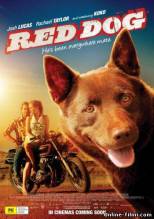 Смотреть онлайн фильм Рыжий пес / Red Dog (2011)-Добавлено HDRip качество  Бесплатно в хорошем качестве