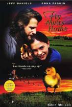 Смотреть онлайн фильм Летите домой / Fly Away Home (1996)-Добавлено DVDRip качество  Бесплатно в хорошем качестве