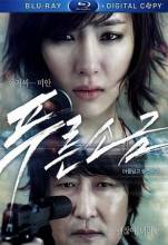 Смотреть онлайн фильм Взгляд из прошлого / Hindsight / Poo-reun-so-geum (2011)-Добавлено HDRip качество  Бесплатно в хорошем качестве