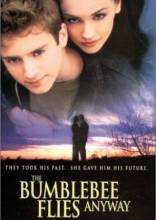 Смотреть онлайн Полёт шмеля / The Bumblebee Flies Anyway (1999) - DVDRip качество бесплатно  онлайн