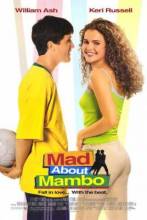 Смотреть онлайн фильм Без ума от Мамбо / Mad About Mambo (2000)-Добавлено DVDRip качество  Бесплатно в хорошем качестве