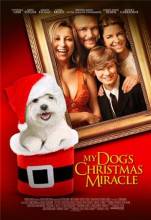 Смотреть онлайн фильм Чудо-пёс / My Dog's Christmas Miracle (2011)-Добавлено DVDRip качество  Бесплатно в хорошем качестве