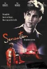 Смотреть онлайн Острые ощущения / Sensation (1994) - DVDRip качество бесплатно  онлайн