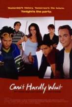 Смотреть онлайн фильм Не могу дождаться / Can't Hardly Wait (1998)-Добавлено DVDRip качество  Бесплатно в хорошем качестве