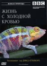 Смотреть онлайн Жизнь с холодной кровью / Life in Cold Blood (2008) -  1-4 серия  бесплатно  онлайн