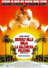 Смотреть онлайн Ниндзя из Беверли Хиллз / Beverly Hills Ninja (1997) - DVDRip качество бесплатно  онлайн