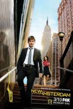 Смотреть онлайн Новый Амстердам / New Amsterdam (2008) -  8 из 8 серия  бесплатно  онлайн