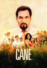 Смотреть онлайн фильм Плантация / Cane (2007)-Добавлено 13 из 13 серия   Бесплатно в хорошем качестве