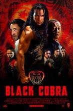 Смотреть онлайн фильм Черная кобра / Black Cobra (2012)-Добавлено DVDRip качество  Бесплатно в хорошем качестве