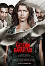 Gecenin Kanatlari (2009)   DVDRip - Full Izle -Tek Parca - Tek Link - Yuksek Kalite HD  онлайн
