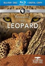 Смотреть онлайн фильм Тайная жизнь леопарда / PBS: Nature - Revealing the Leopard (2010)-Добавлено HDRip качество  Бесплатно в хорошем качестве