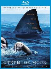 Смотреть онлайн фильм Открытое море: Новые жертвы / The Reef (2010)-Добавлено BDRip качество  Бесплатно в хорошем качестве