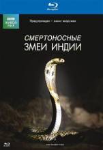 Смотреть онлайн BBC: Живой мир. Смертоносные змеи Индии / BBC: The Natural World. One Million Snake Bites (2011) - HDRip качество бесплатно  онлайн