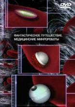 Смотреть онлайн Фантастическое путешествие. Медицинские микророботы (2003) - HDRip качество бесплатно  онлайн