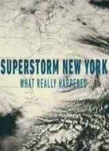 Смотреть онлайн Разрушительный ураган Сэнди / Superstorm New York (2012) -  бесплатно  онлайн