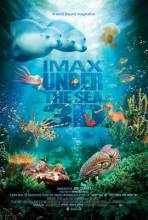 Смотреть онлайн фильм На глубине морской 3D / Under the Sea 3D (2009)-Добавлено HD 720p качество  Бесплатно в хорошем качестве