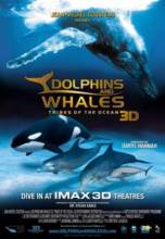 Смотреть онлайн Дельфины и киты: обитатели океана / Dolphins and Whales: Tribes of the Ocean (2008) - HD 720p качество бесплатно  онлайн