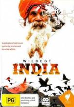 Смотреть онлайн В дебрях Индии / Wildest India (2011) -  1 - 3 серия  бесплатно  онлайн