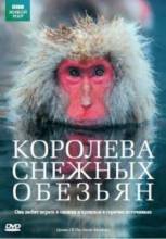 Смотреть онлайн Королева снежных обезьян / Snow Monkeys - Who's Hot and Who's Not (2009) - HD 720p качество бесплатно  онлайн